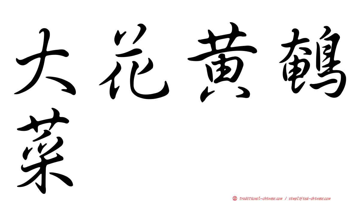 大花黃鵪菜