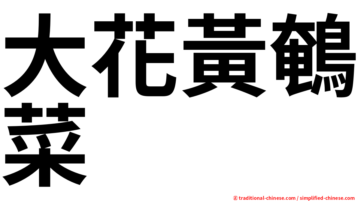 大花黃鵪菜