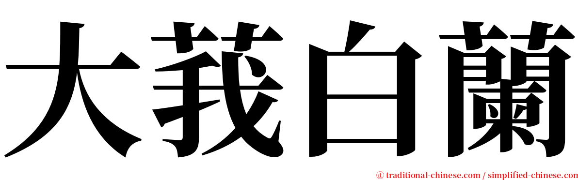 大莪白蘭 serif font