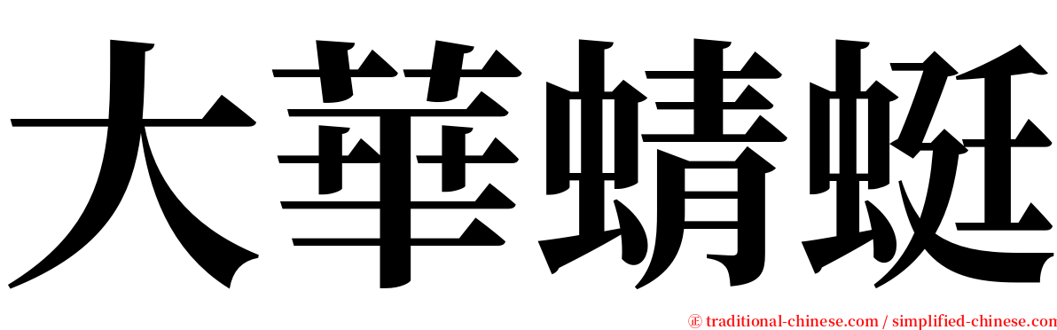 大華蜻蜓 serif font