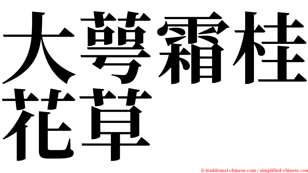 大萼霜桂花草 serif font