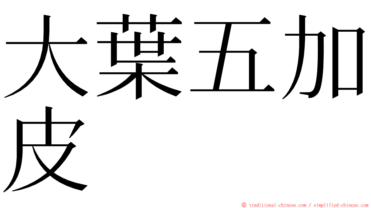 大葉五加皮 ming font