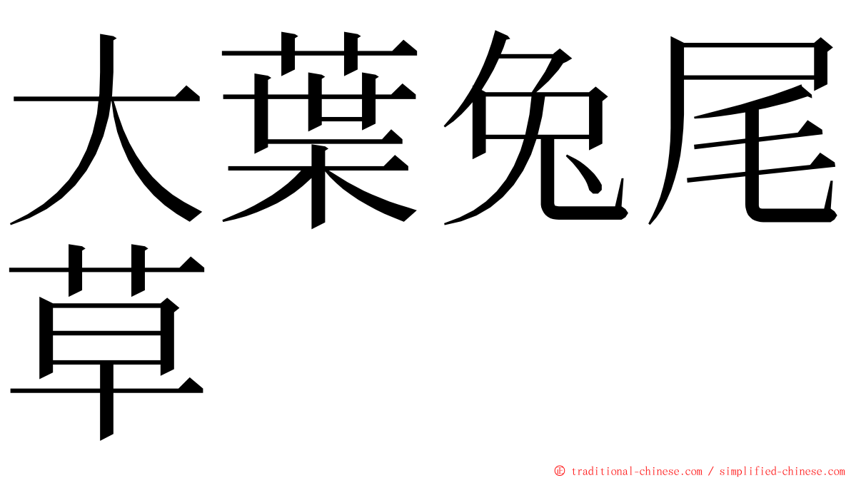 大葉兔尾草 ming font