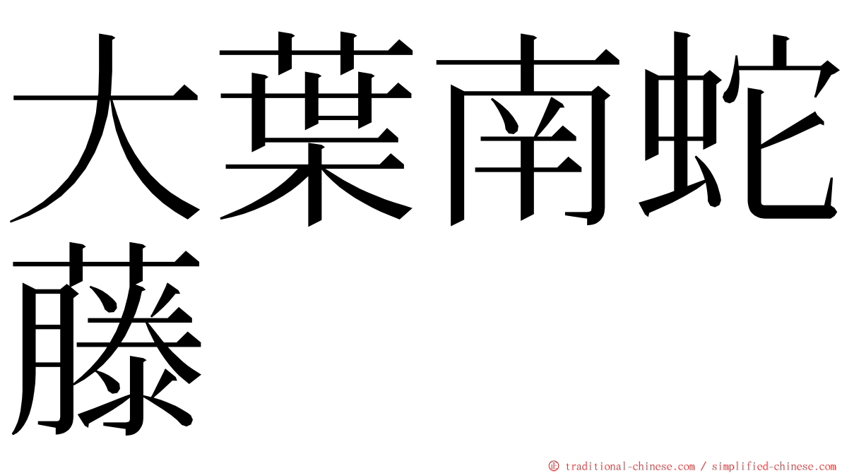 大葉南蛇藤 ming font