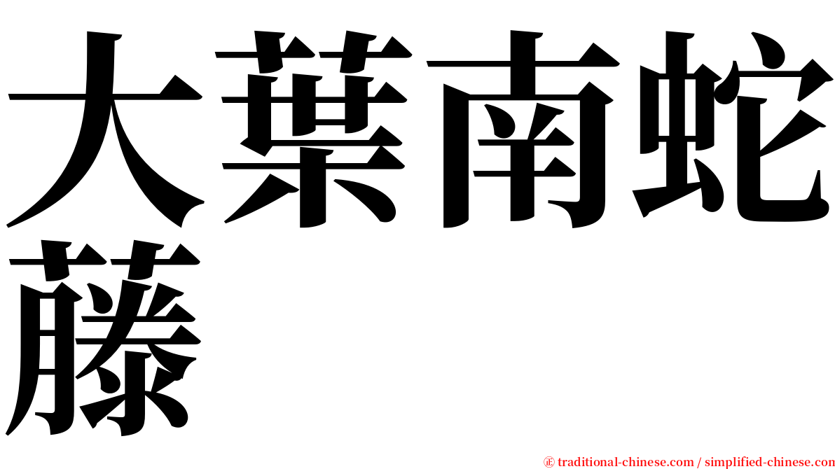 大葉南蛇藤 serif font