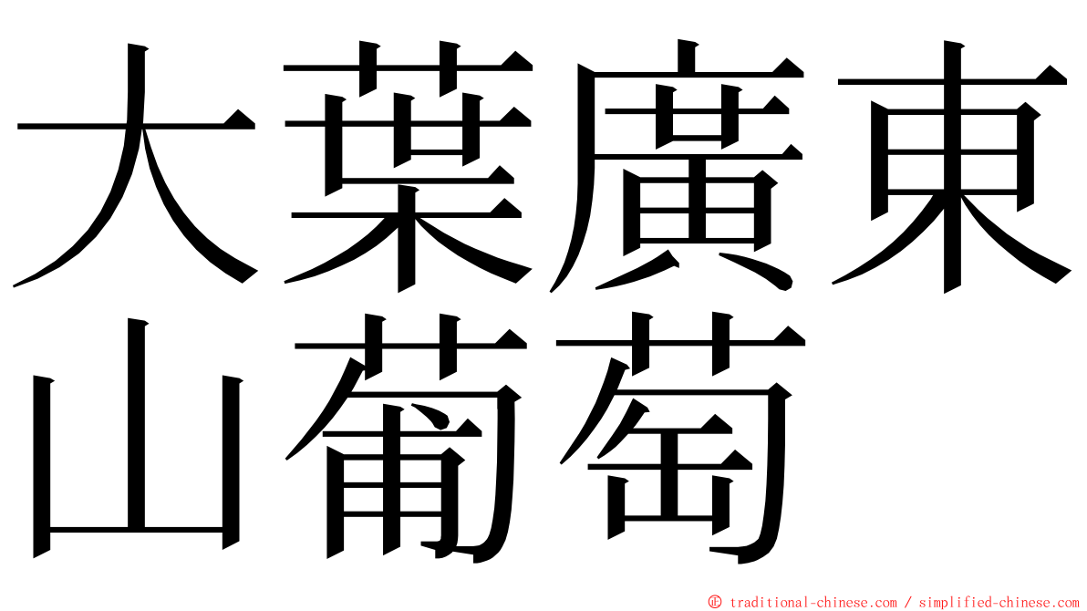 大葉廣東山葡萄 ming font