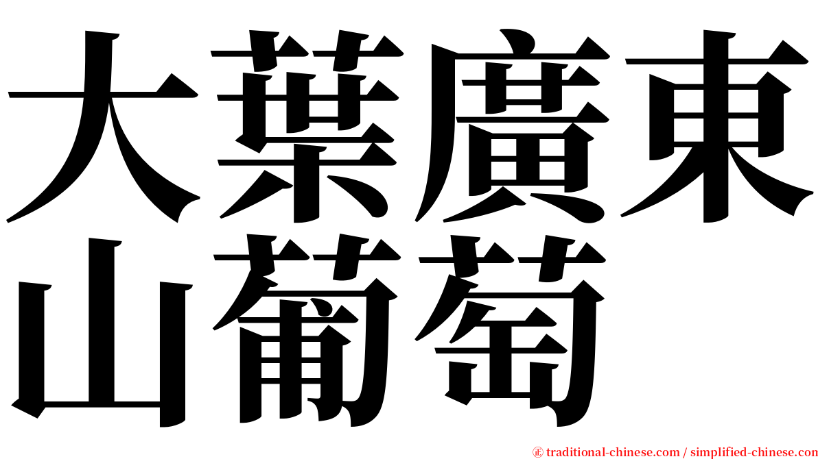 大葉廣東山葡萄 serif font