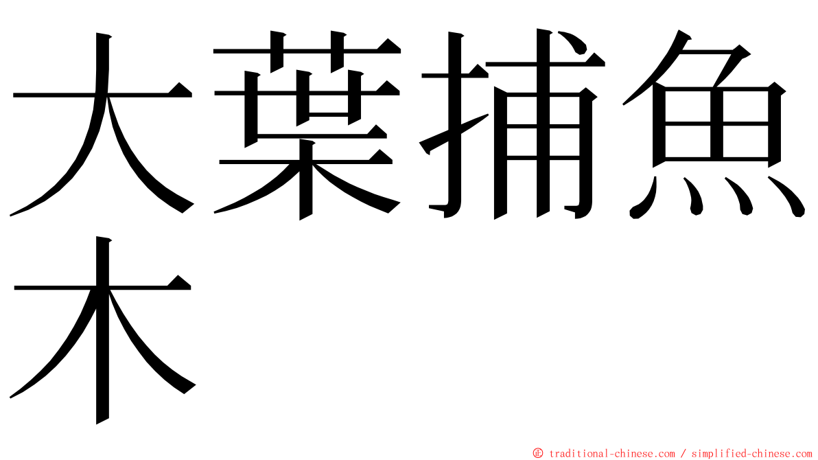 大葉捕魚木 ming font