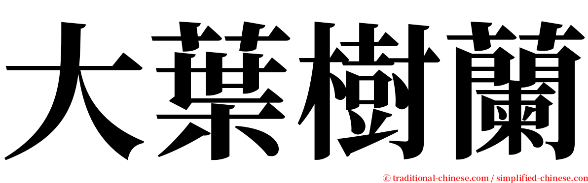 大葉樹蘭 serif font