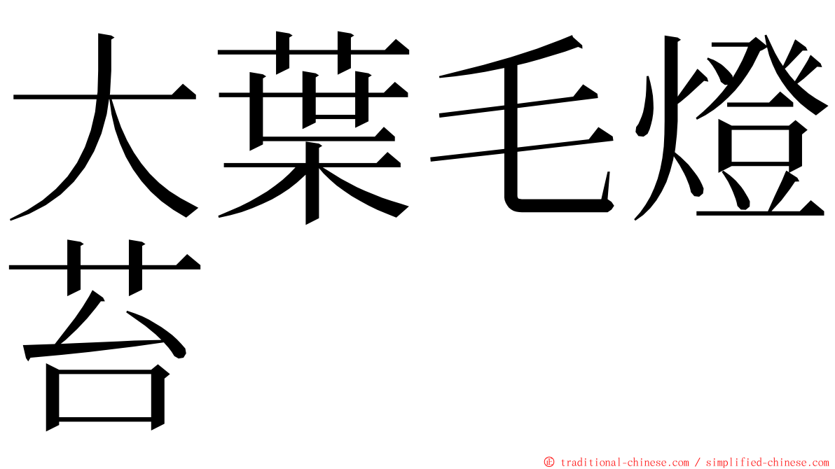 大葉毛燈苔 ming font