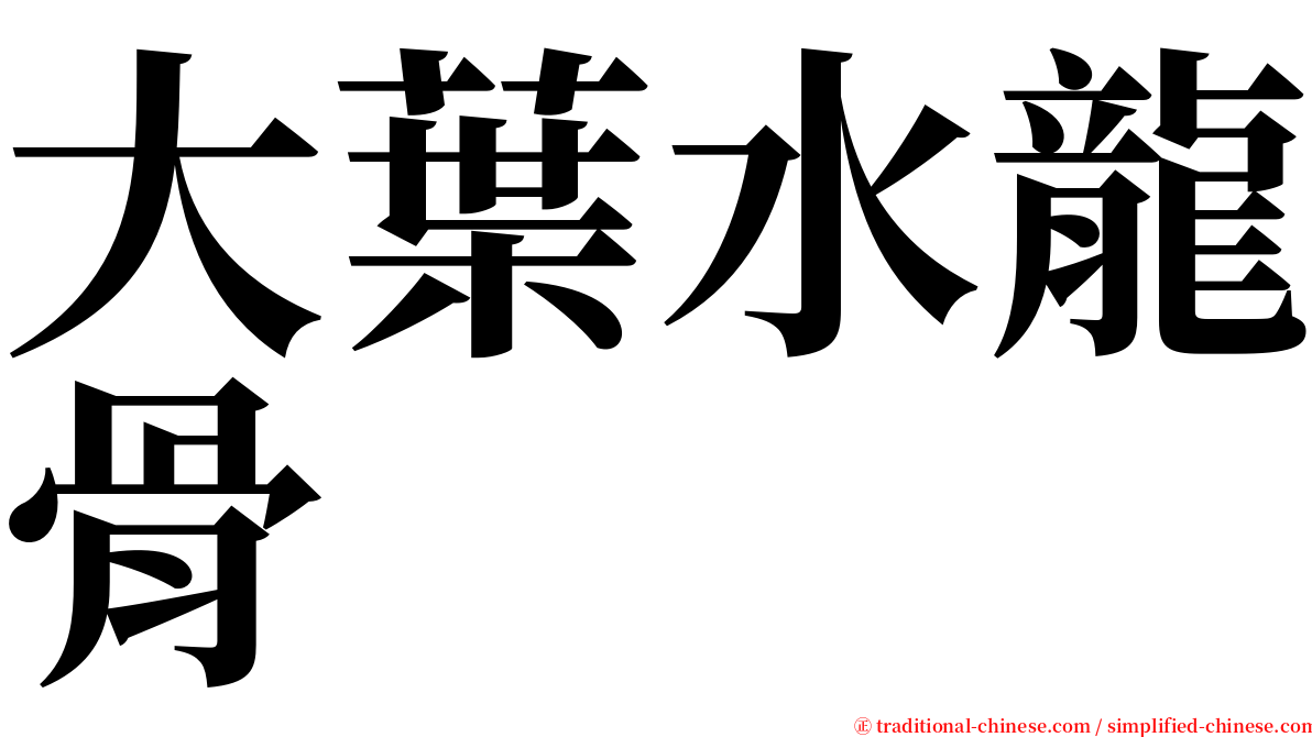 大葉水龍骨 serif font