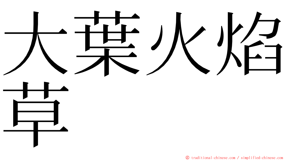 大葉火焰草 ming font