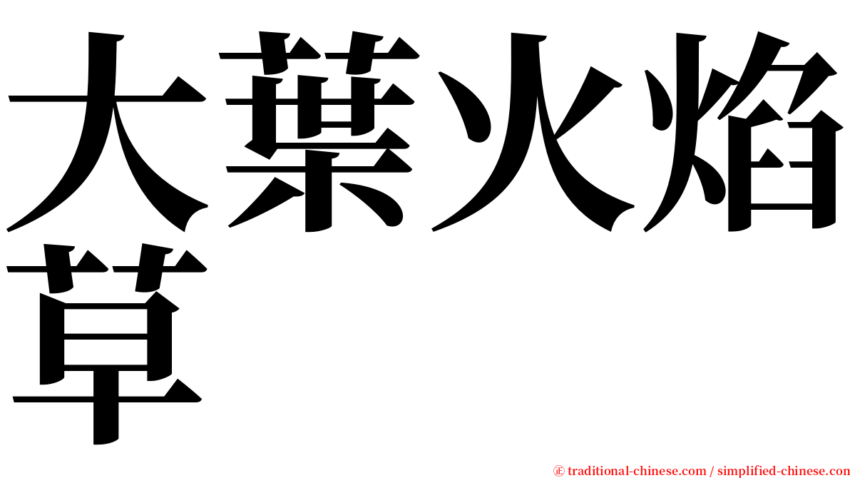 大葉火焰草 serif font