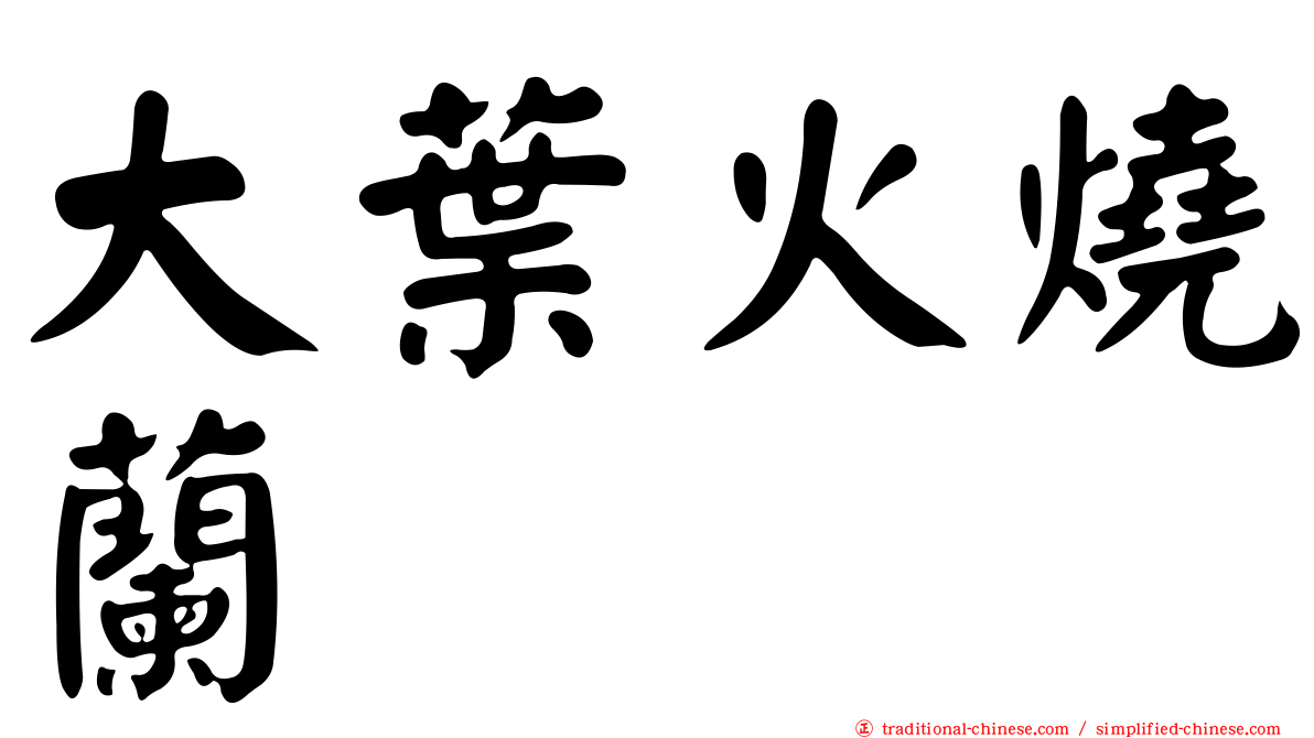 大葉火燒蘭
