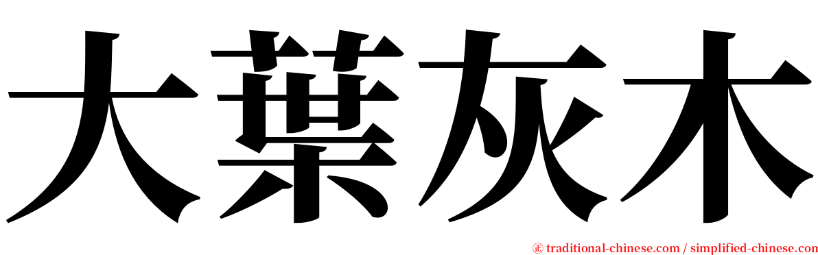 大葉灰木 serif font