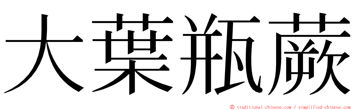 大葉瓶蕨 ming font