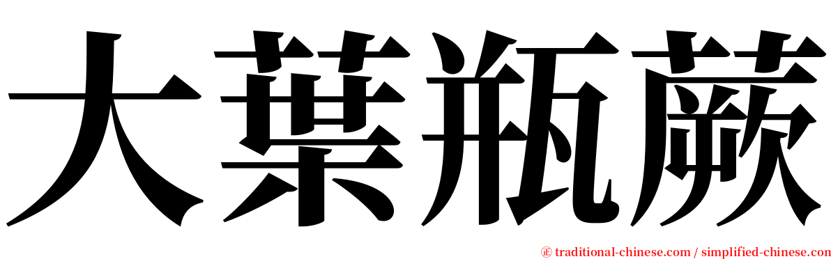 大葉瓶蕨 serif font