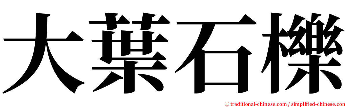 大葉石櫟 serif font