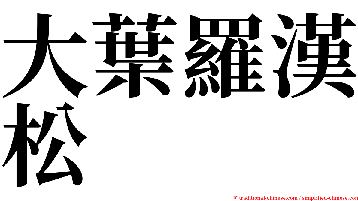 大葉羅漢松 serif font