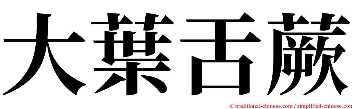 大葉舌蕨 serif font