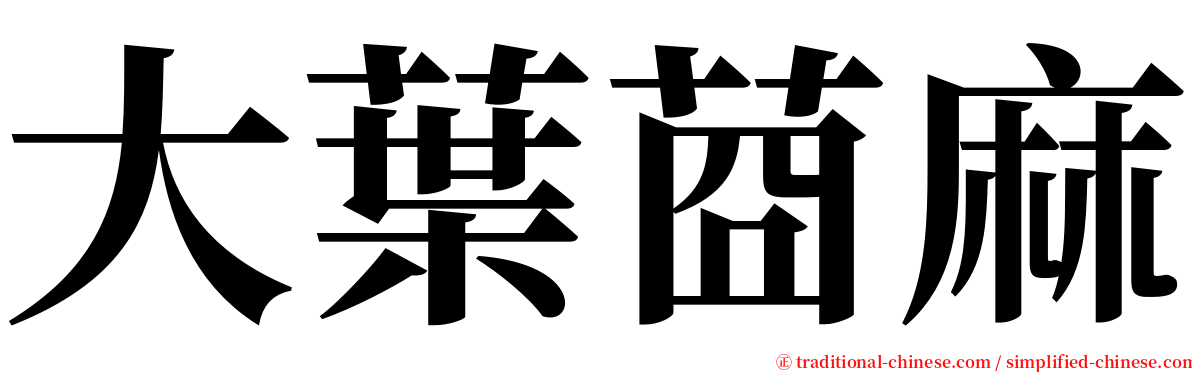 大葉莔麻 serif font