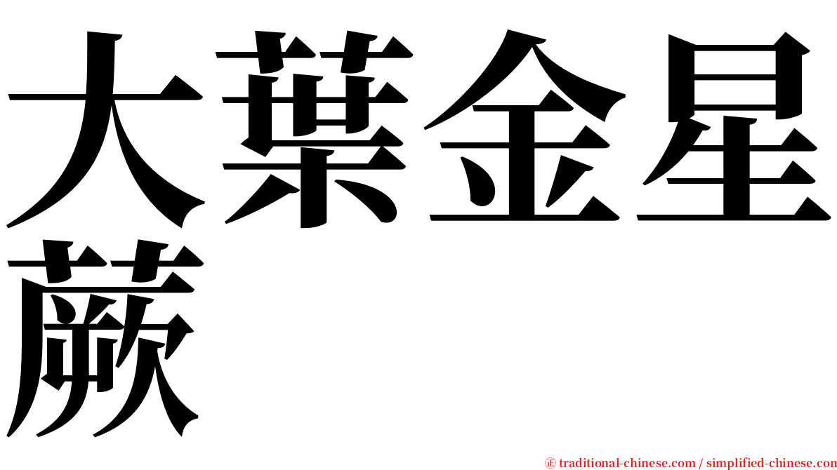 大葉金星蕨 serif font