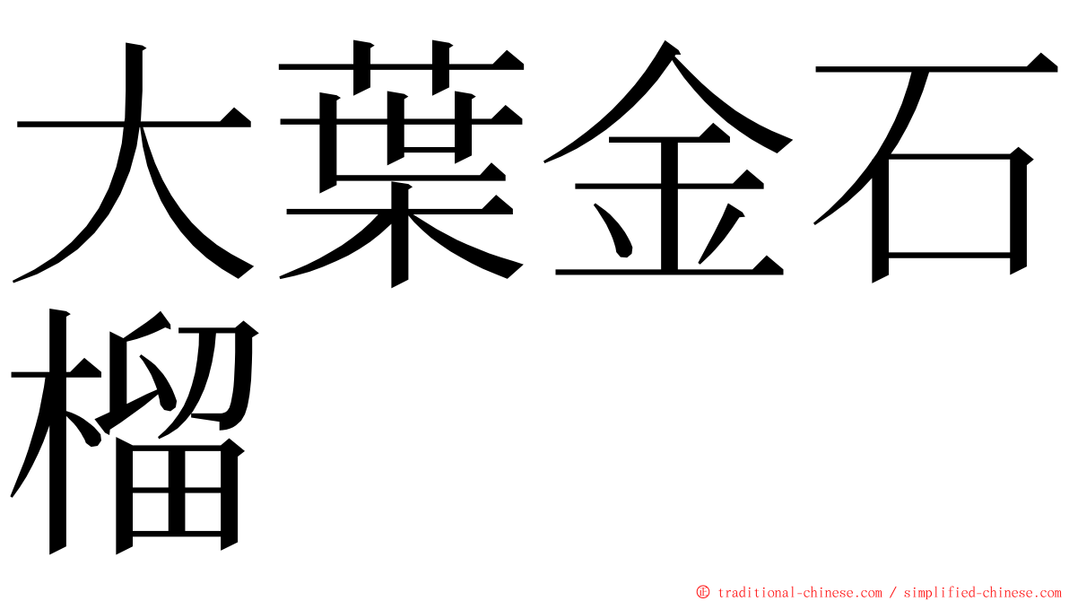 大葉金石榴 ming font