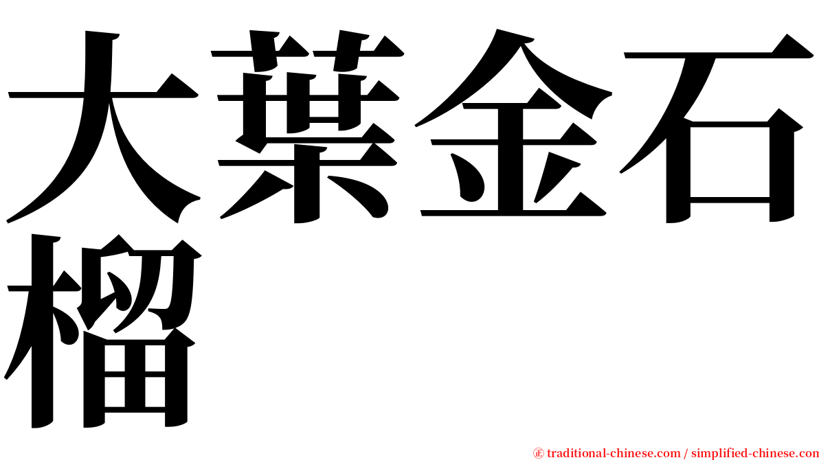 大葉金石榴 serif font