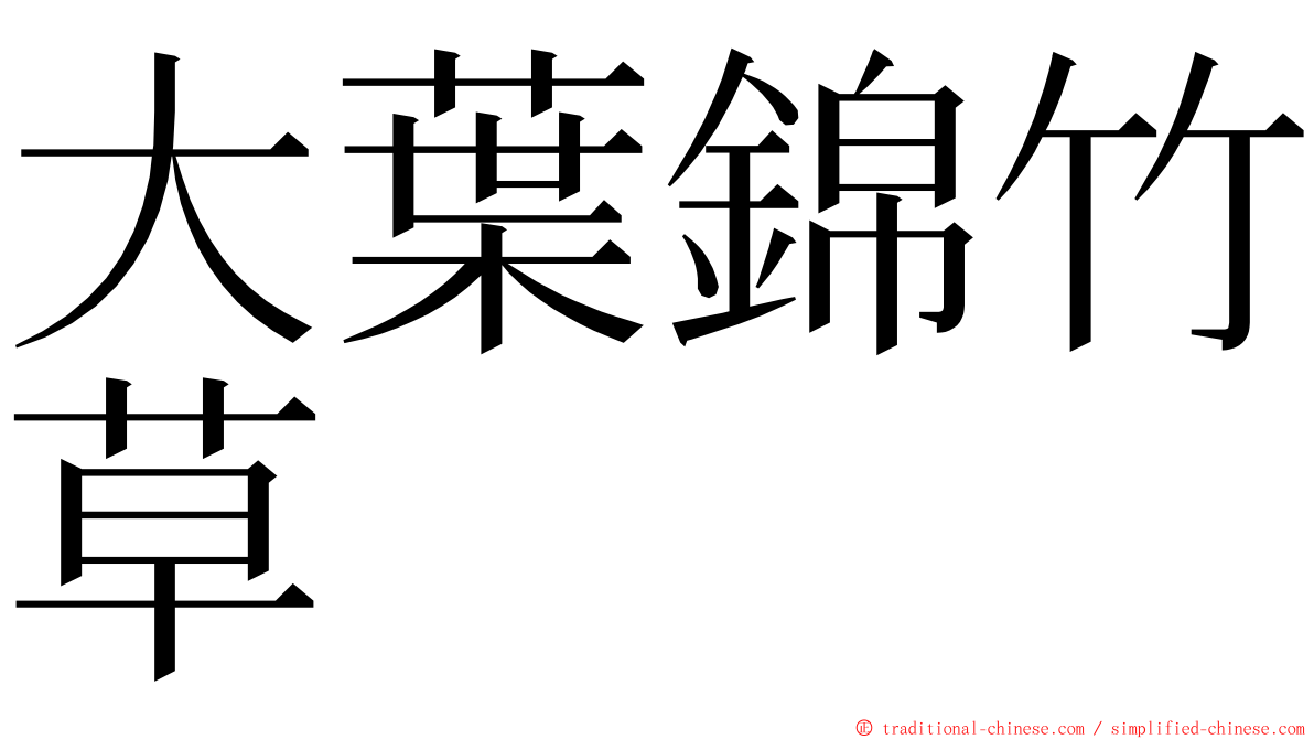 大葉錦竹草 ming font