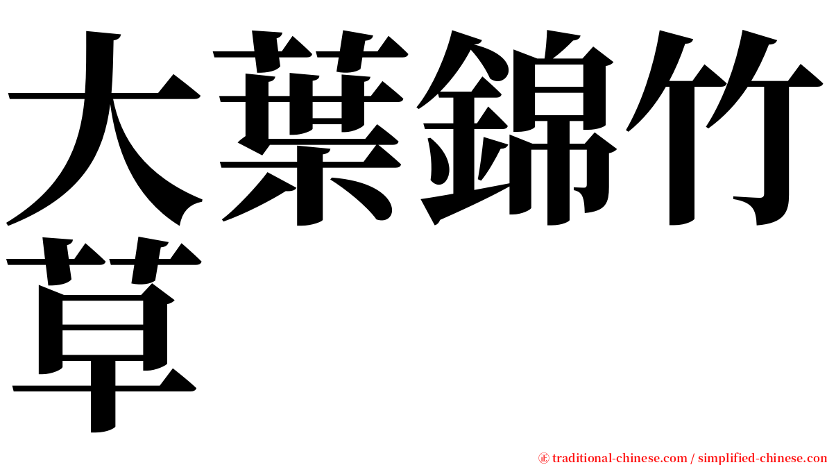 大葉錦竹草 serif font