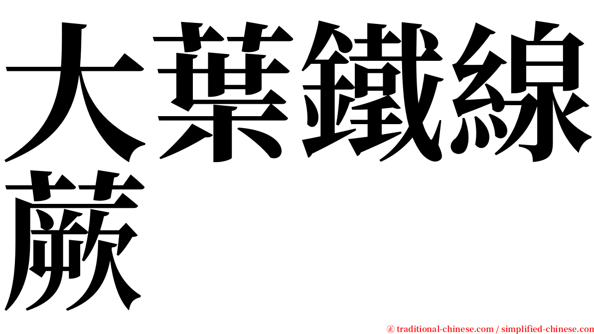 大葉鐵線蕨 serif font