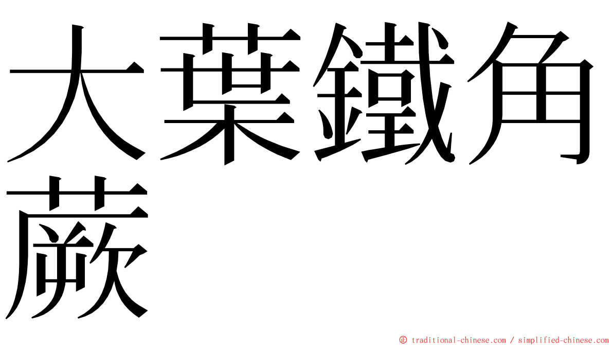 大葉鐵角蕨 ming font