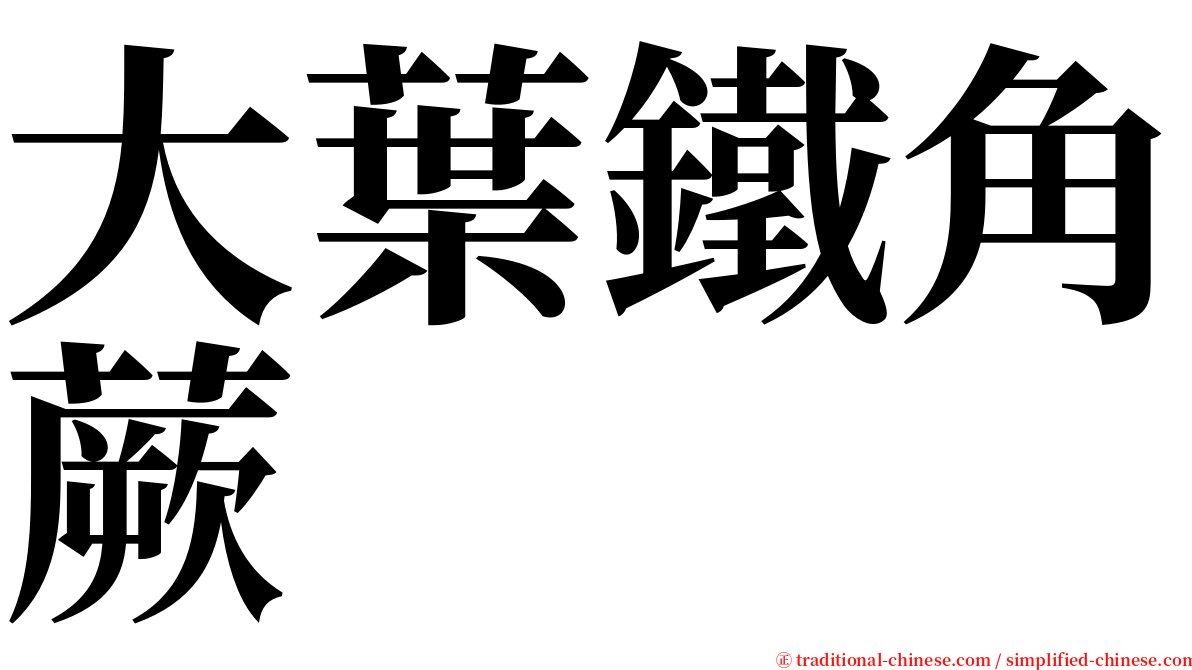 大葉鐵角蕨 serif font