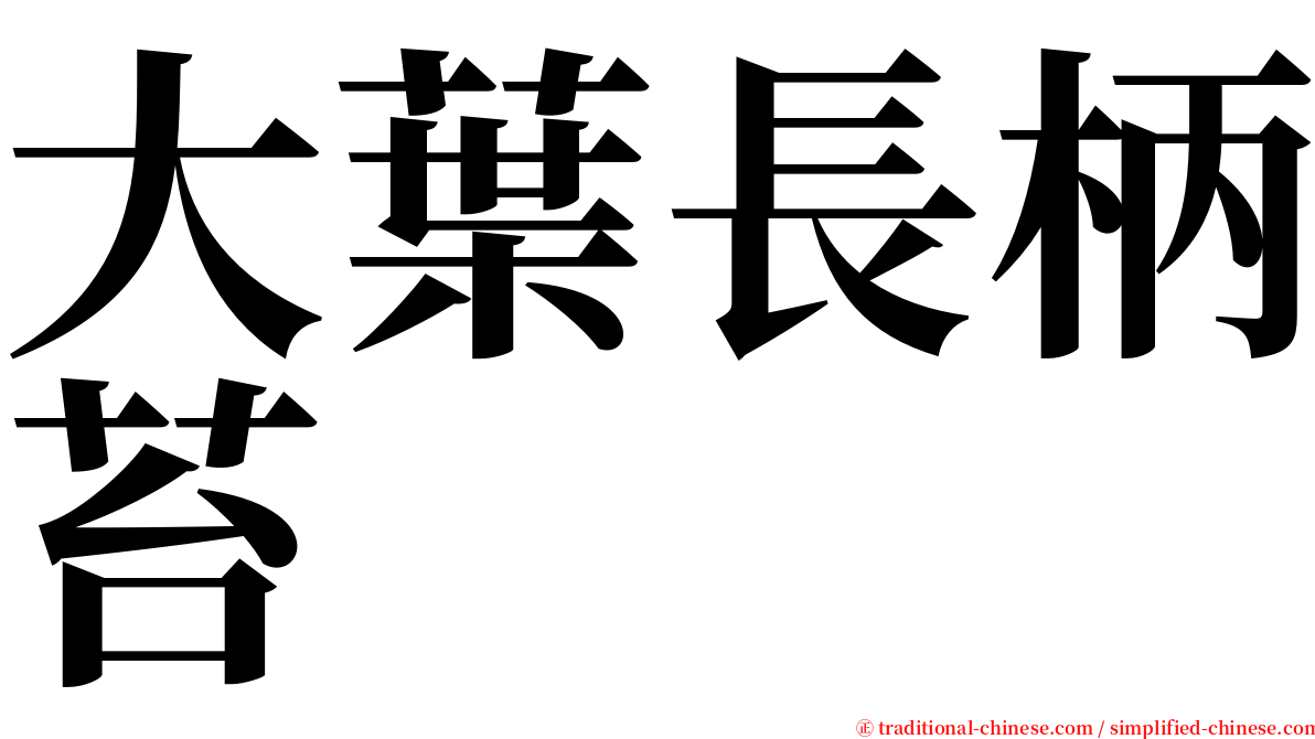 大葉長柄苔 serif font