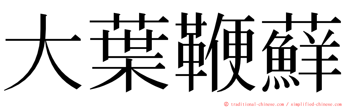 大葉鞭蘚 ming font