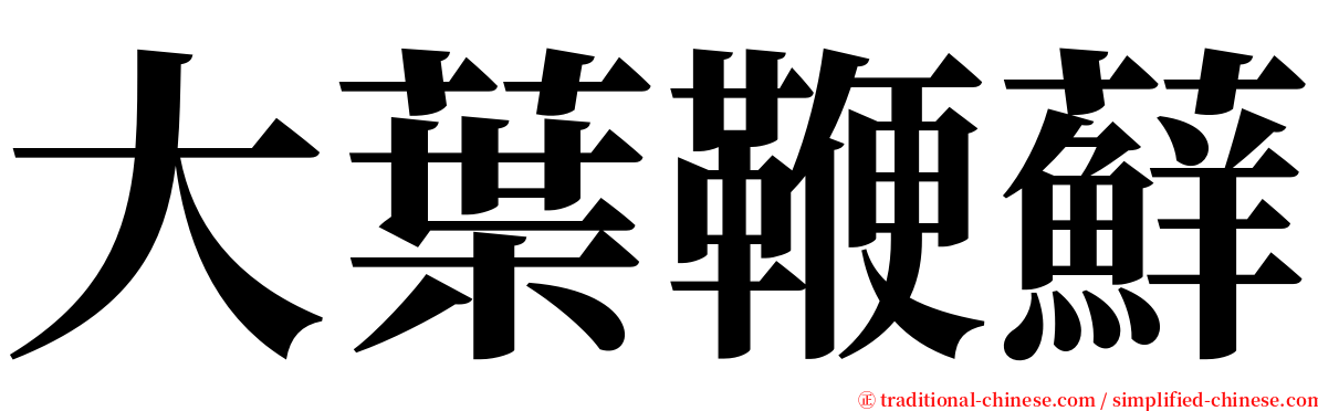 大葉鞭蘚 serif font