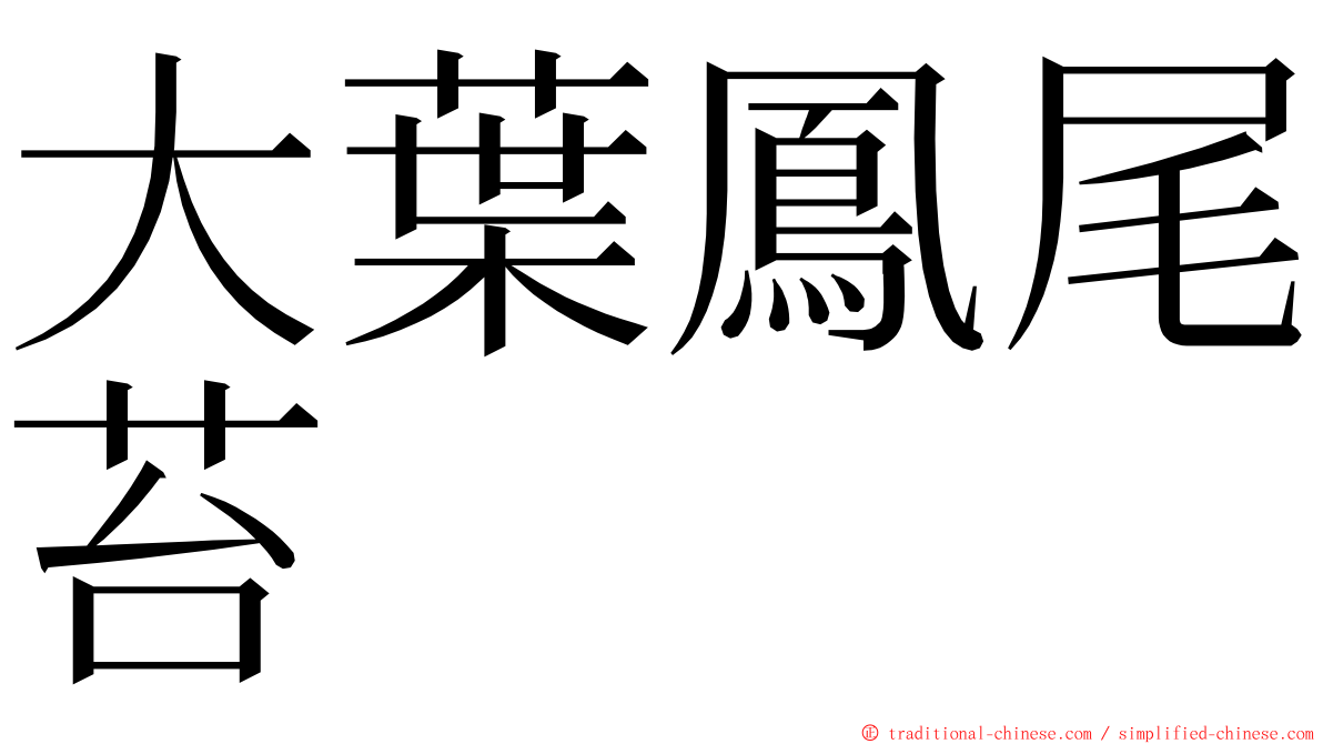 大葉鳳尾苔 ming font