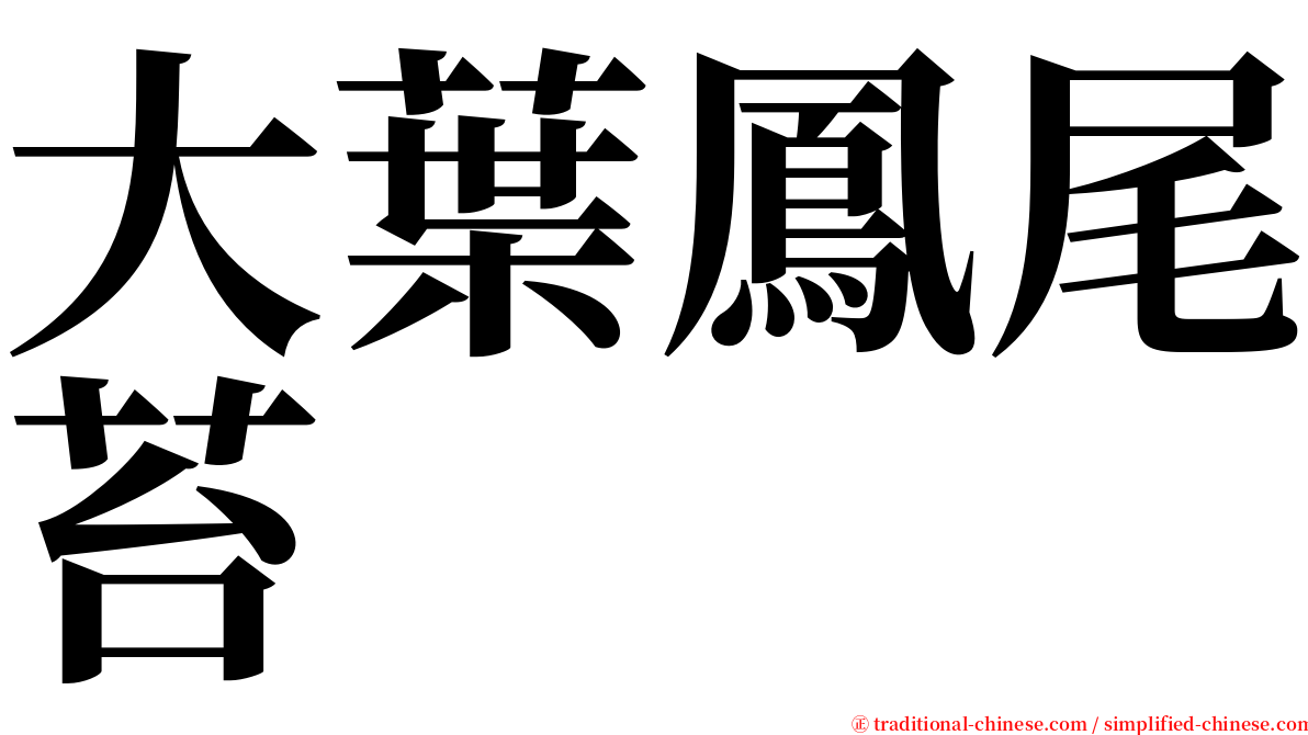 大葉鳳尾苔 serif font