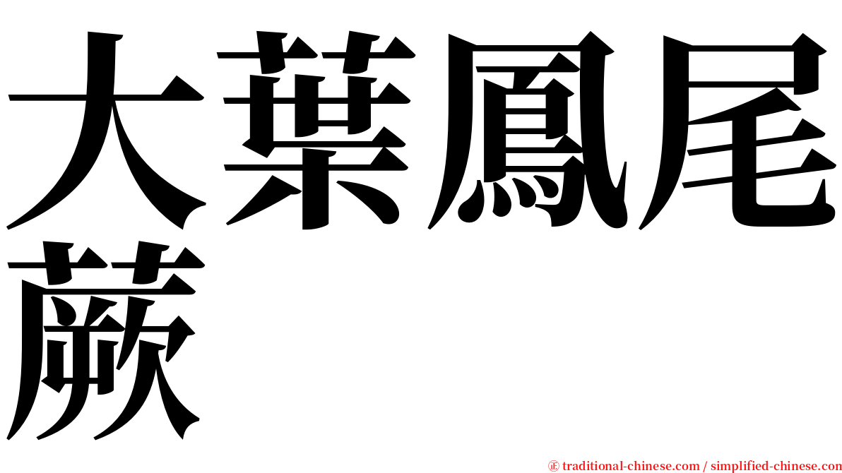 大葉鳳尾蕨 serif font