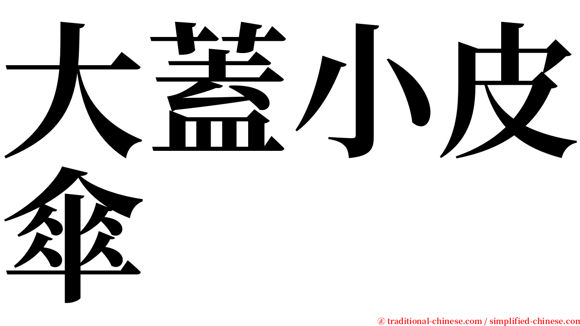 大蓋小皮傘 serif font