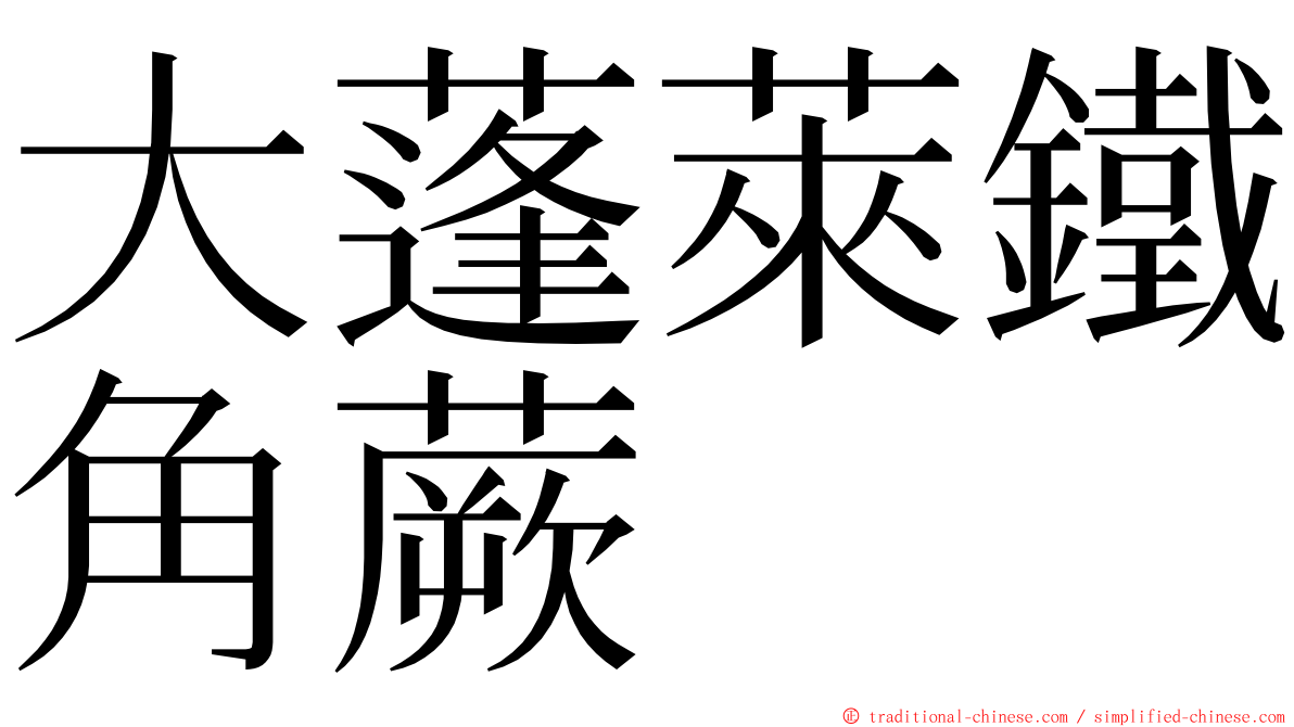 大蓬萊鐵角蕨 ming font