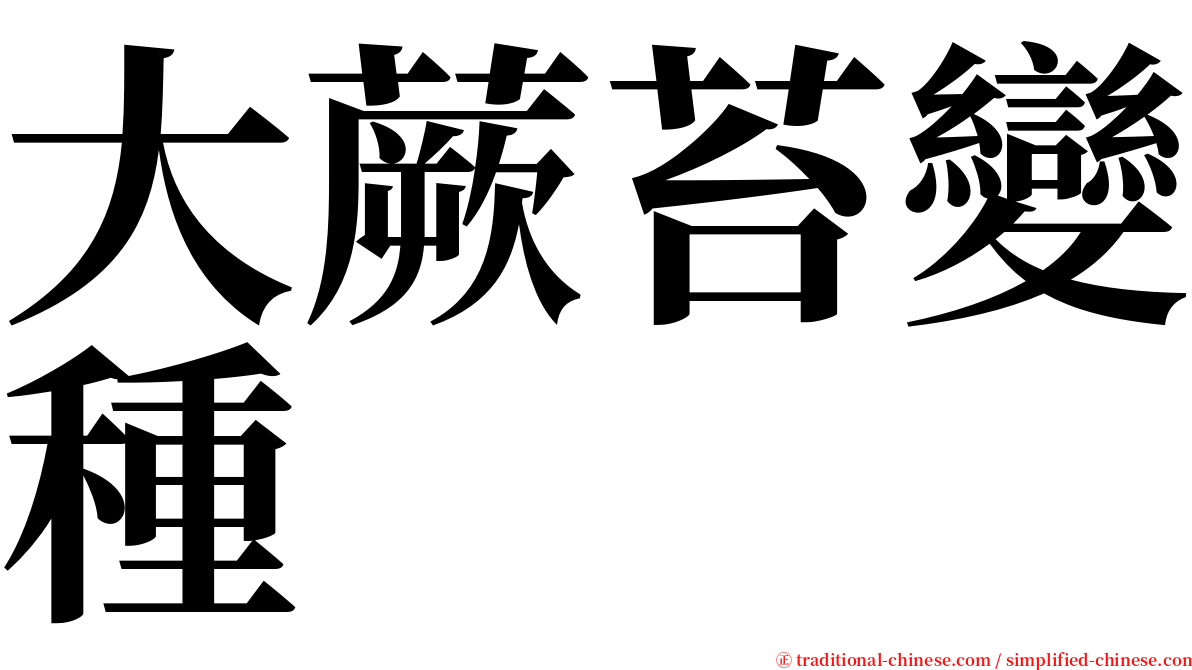 大蕨苔變種 serif font