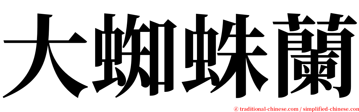 大蜘蛛蘭 serif font