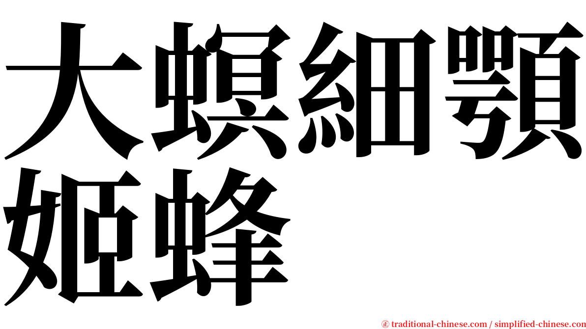 大螟細顎姬蜂 serif font