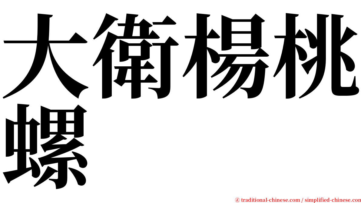 大衛楊桃螺 serif font