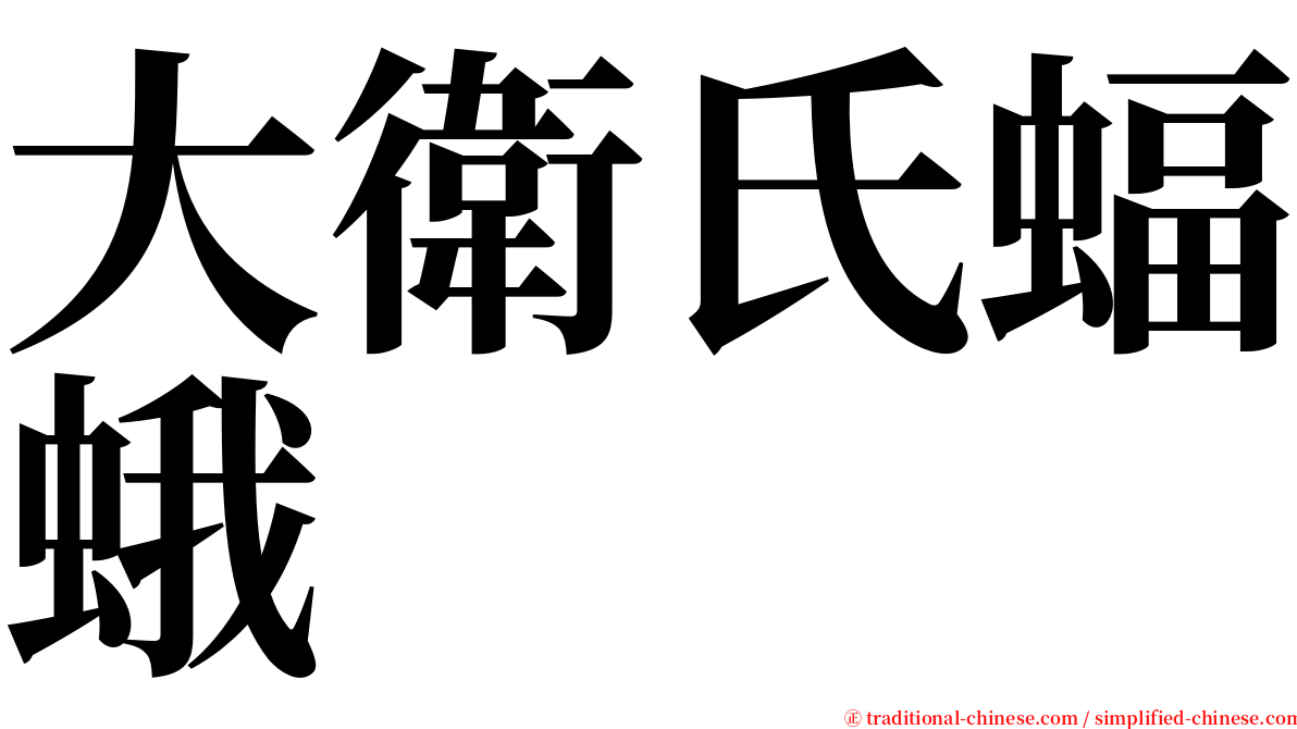 大衛氏蝠蛾 serif font