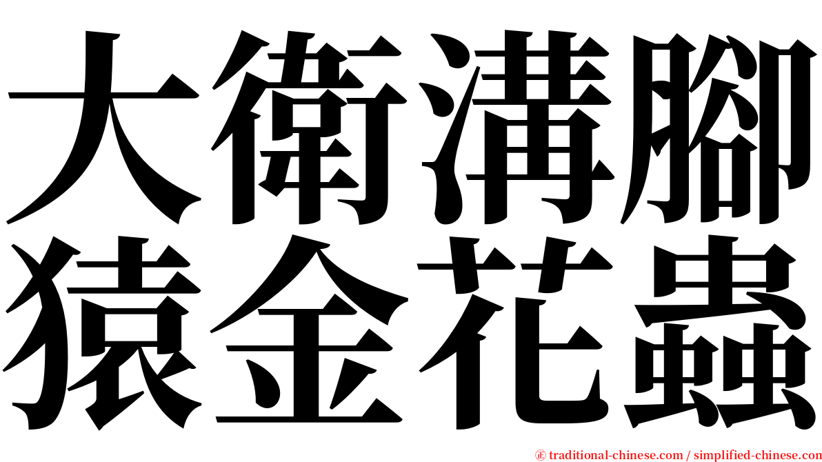 大衛溝腳猿金花蟲 serif font