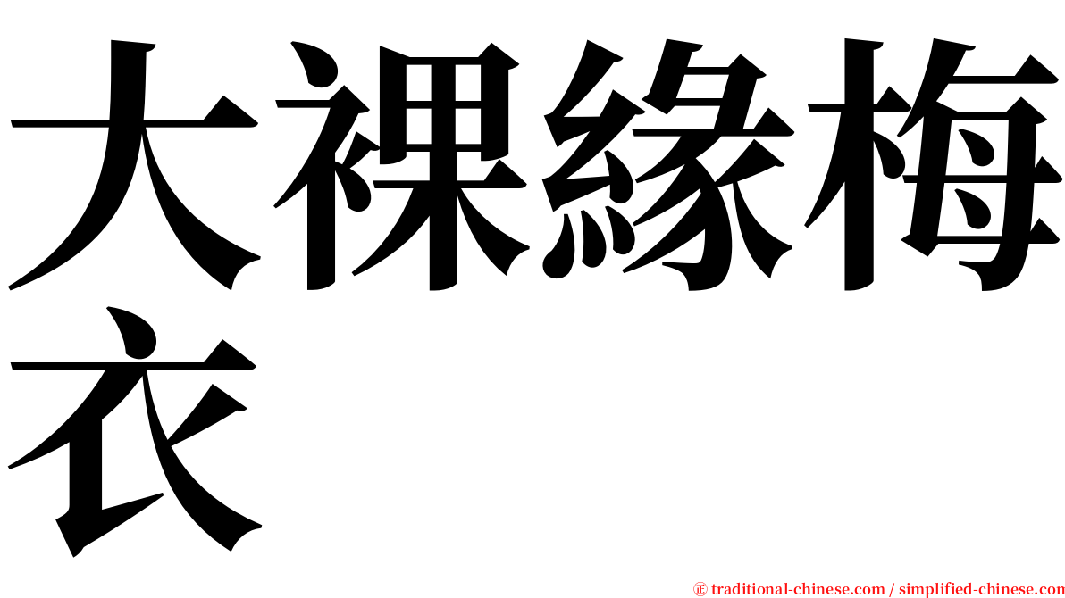 大裸緣梅衣 serif font