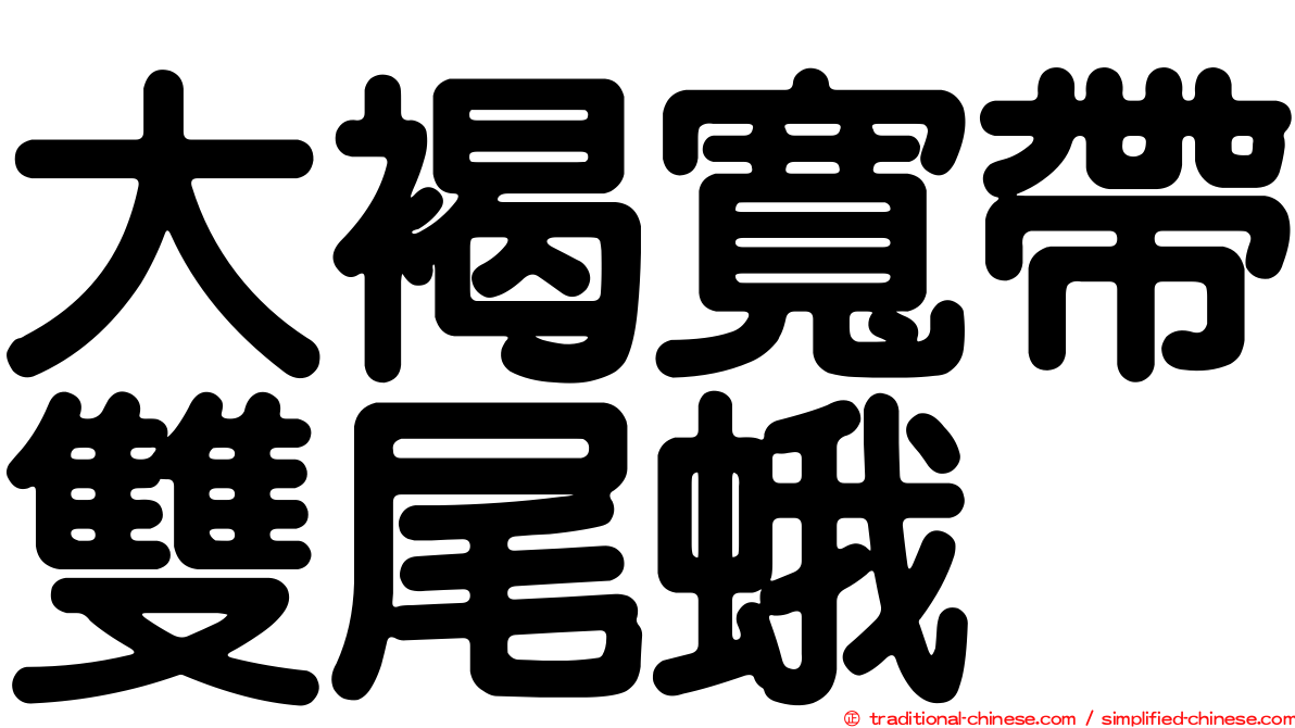 大褐寬帶雙尾蛾