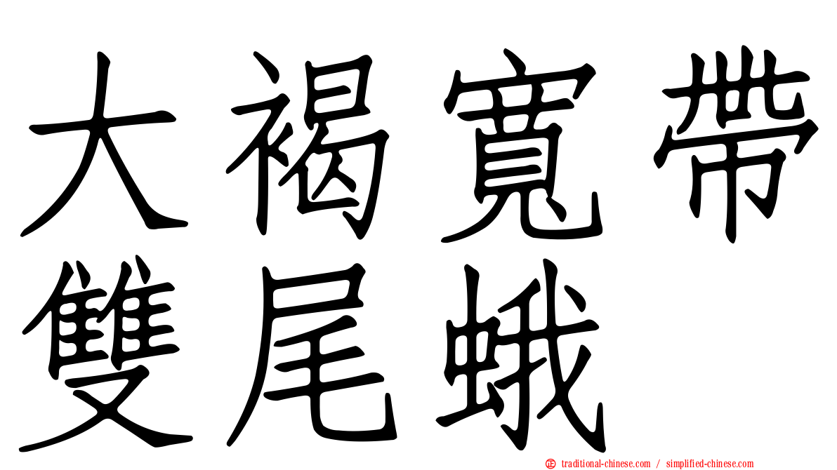 大褐寬帶雙尾蛾
